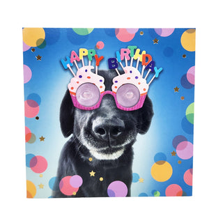 Unknown | Dog Happy Birthday Card | Dog Party Supplies NZ