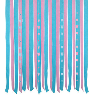 Gender Reveal Backdrop Kit | Gender Reveal Party Supplies NZ