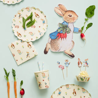 Meri Meri Peter Rabbit Party Plates | Peter Rabbit Shaped Plates | Peter Rabbit and Friends Party Plates 